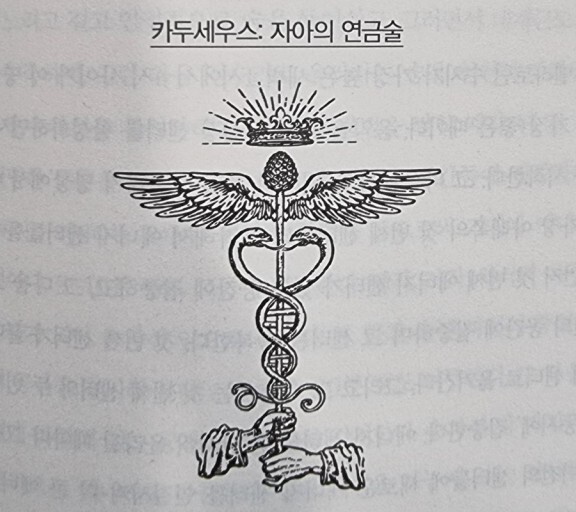 두시 이미지