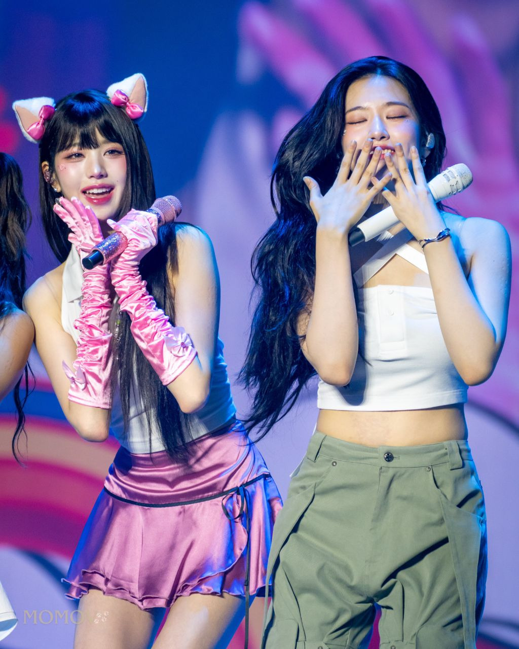 포포 이미지