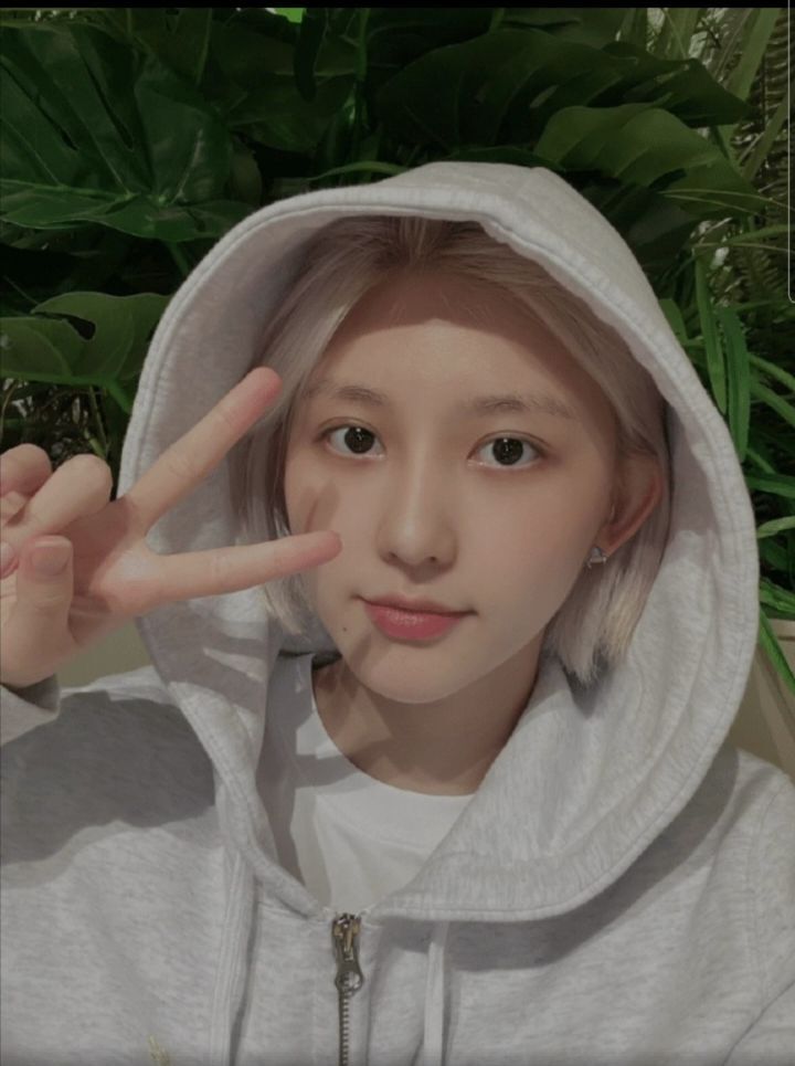 브이티콘 이미지