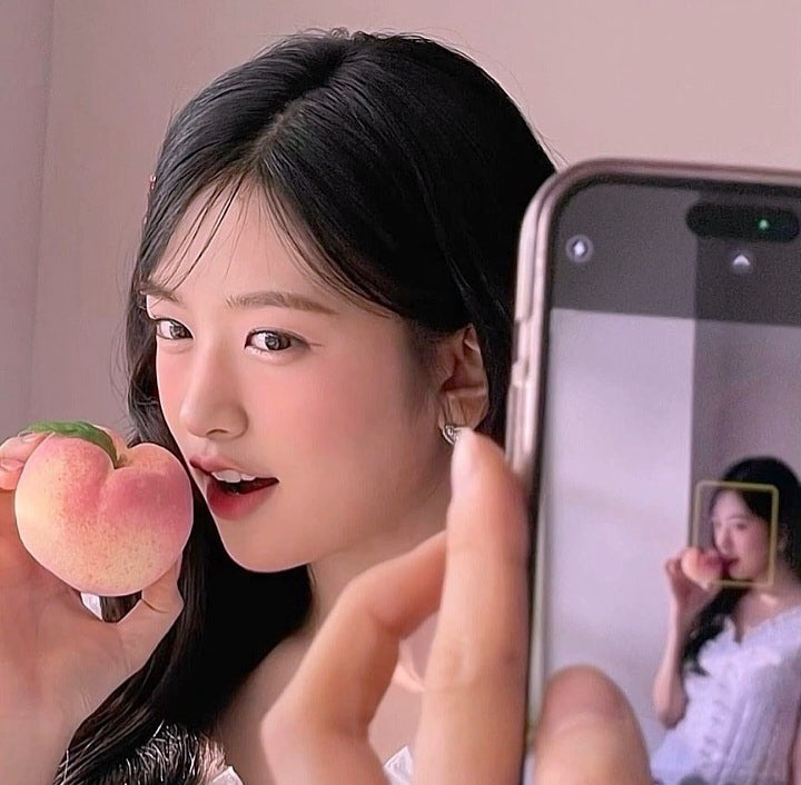 포포 이미지