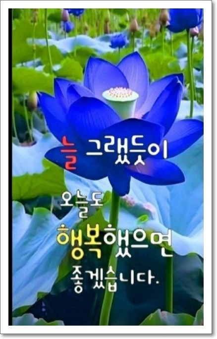 아이엠(I am) 이미지