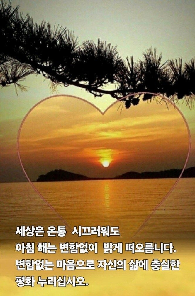 너나건 이미지
