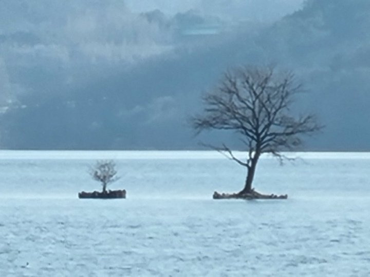 블루(Blue) 이미지