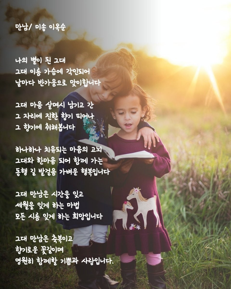 미송 이미지