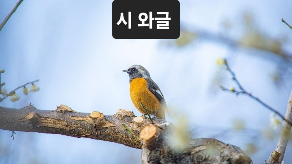 터미널여인숙 이미지