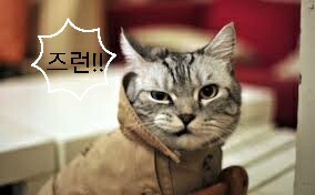 꿀꺽 이미지