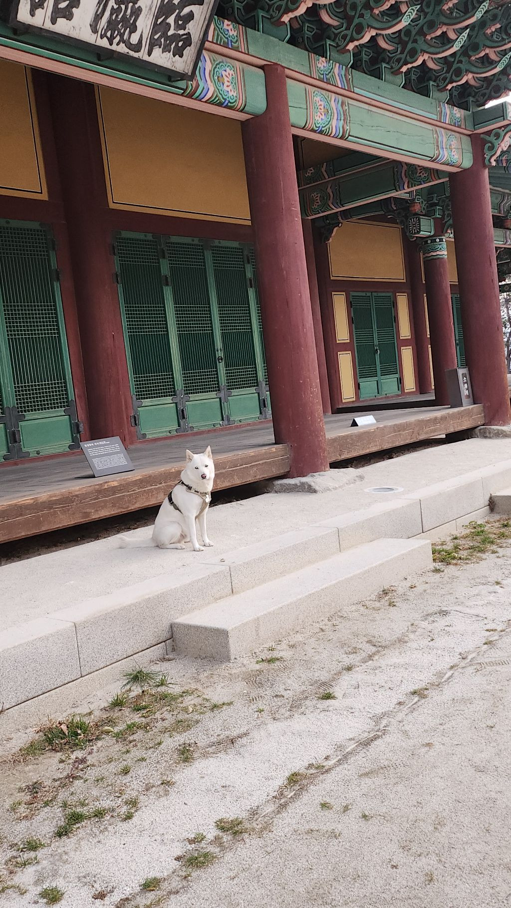 마스 이미지