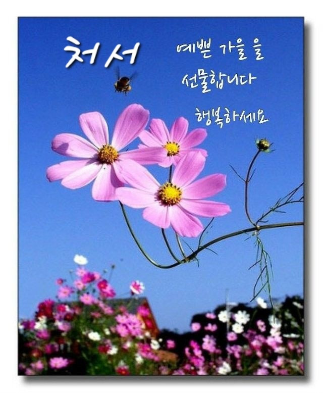 처서 이미지