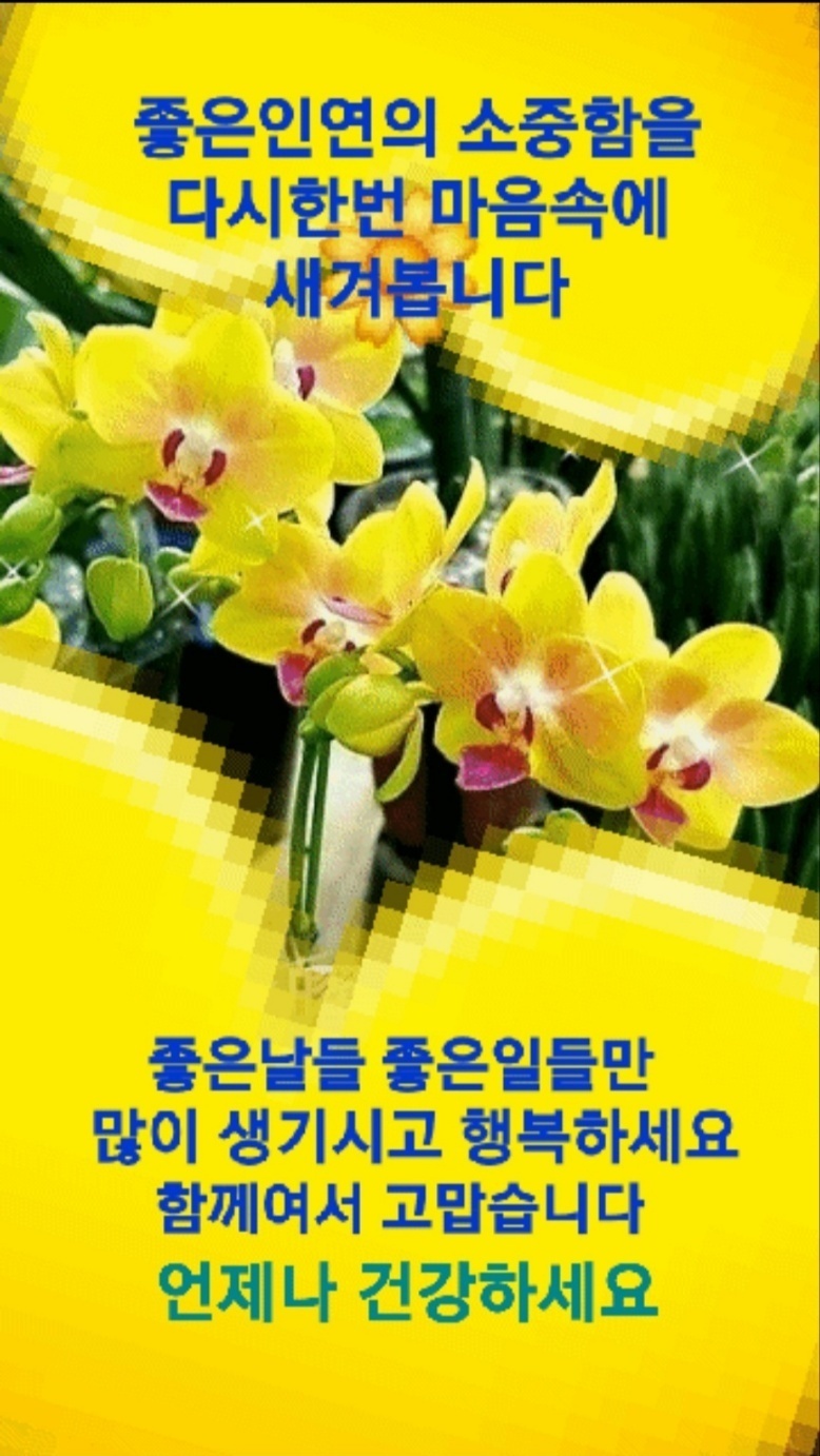 선문 이미지