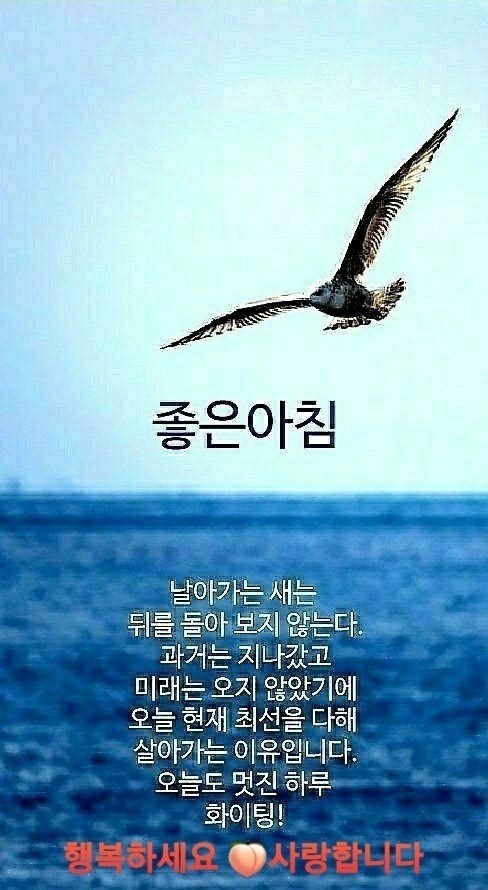 낭만에대하여 이미지