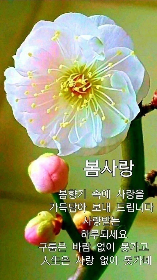 박*래 이미지