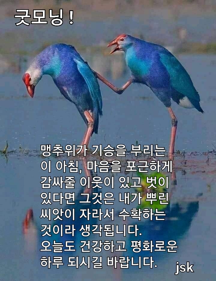 아름다운 새소리 ㅡ아침을 노래합니다ㅡ온갖새들의 ㅡ아름다운 노래소리ㅡ - 가요 민요 팦송방 - 서울 산이조아 산행 아름다운 새소리 ㅡ아침을... 