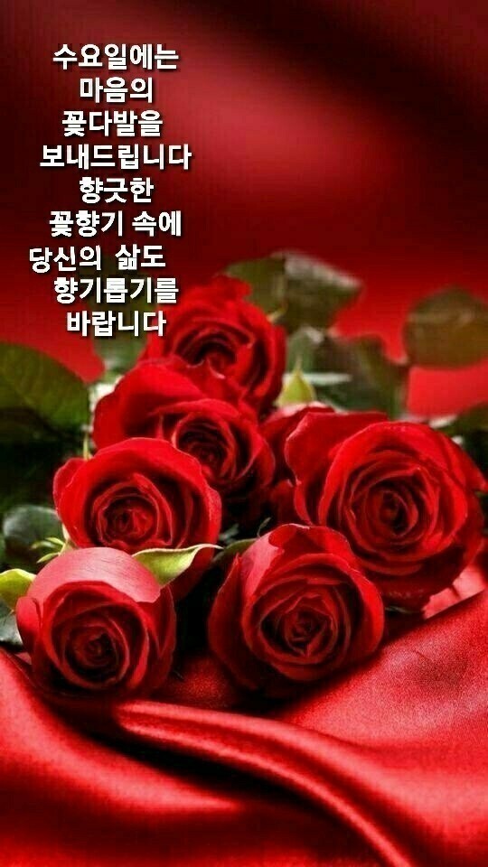 오늘, 꽃데이 이미지