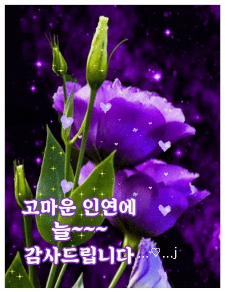 정보 ㅡ치맛바람에 짐싸는 중개사들 ㅡ - 청솔 경운아방 - 서울 산이조아 산행 정보 ㅡ치맛바람에 짐싸는 중개사들 ㅡ
