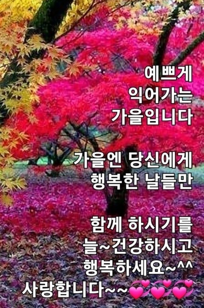 한중약국 이미지