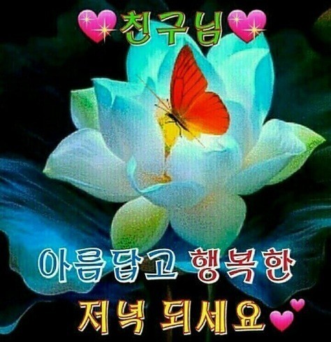 태정 이미지