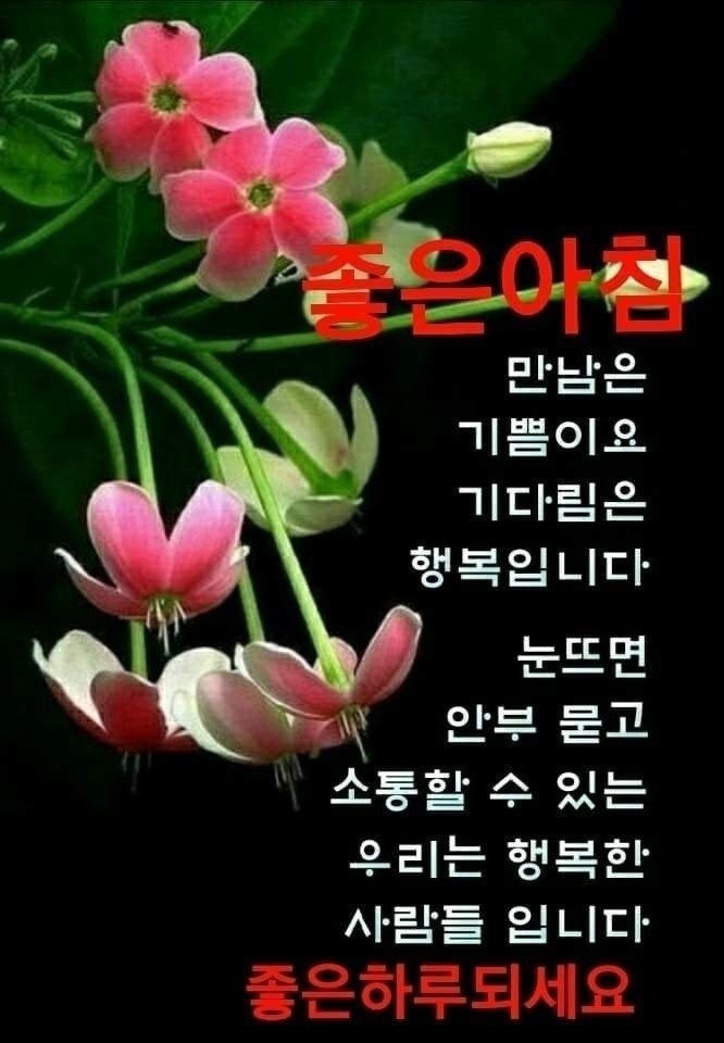 cafe 정남진 이미지