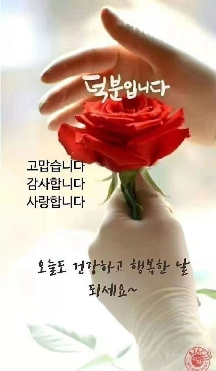 청향 이미지