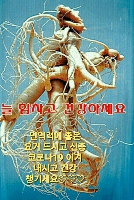 여행친구주 이미지