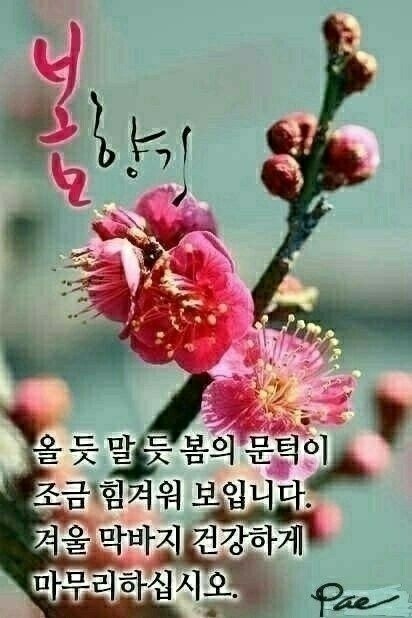 박*래 이미지
