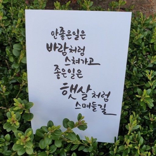 준아 이미지