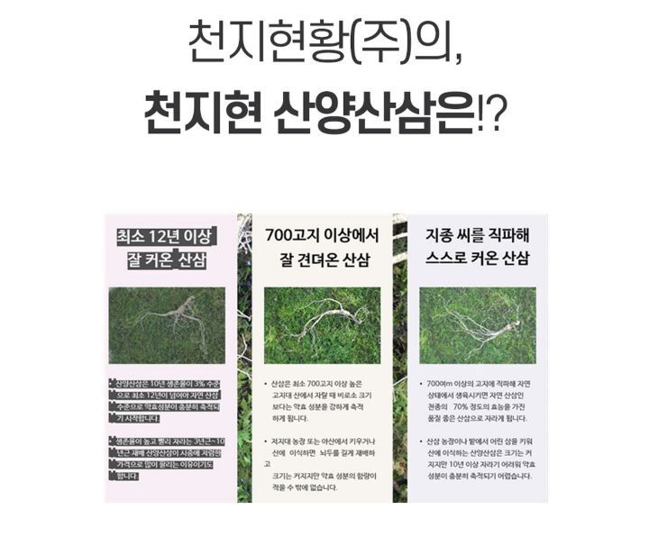 천지현황(주) 이미지