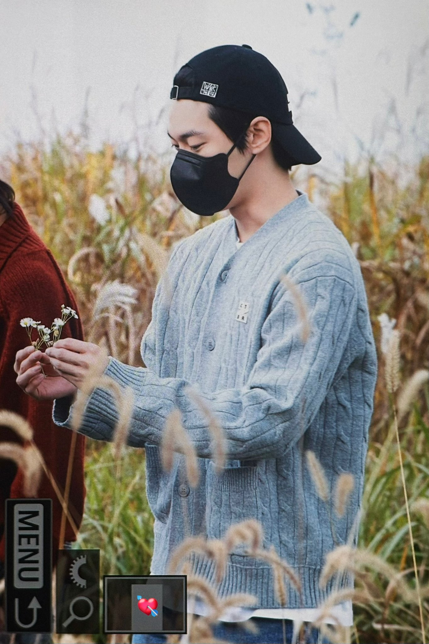 단델리온 이미지