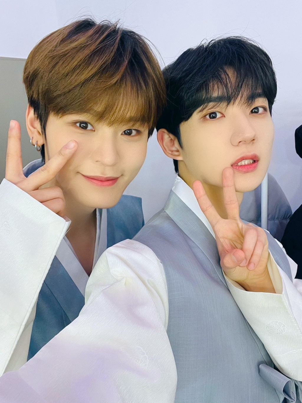 테레 이미지