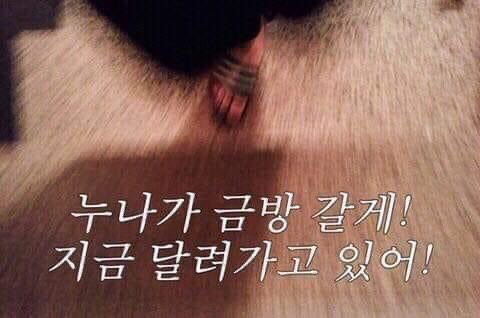 혁이하고싶은거다해 이미지