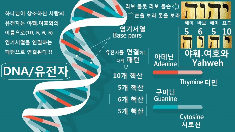 씨앗통신 이미지