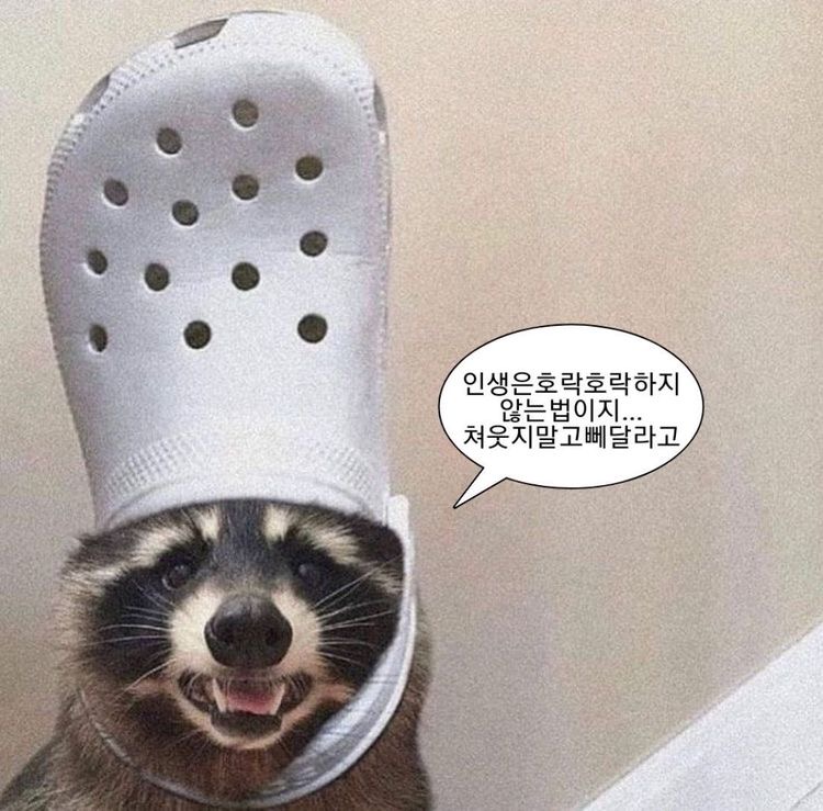 이난 이미지