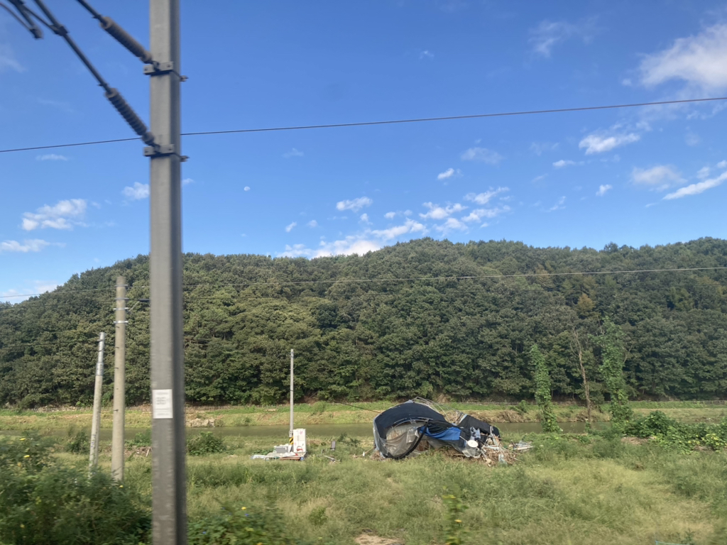 하늘보라 이미지