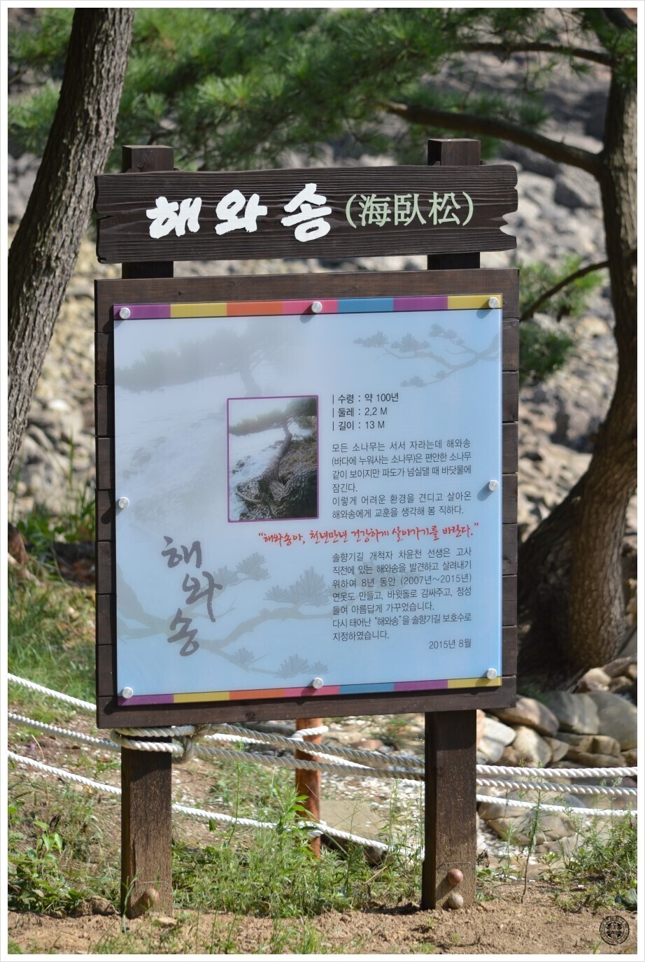 솔향기환경 이미지
