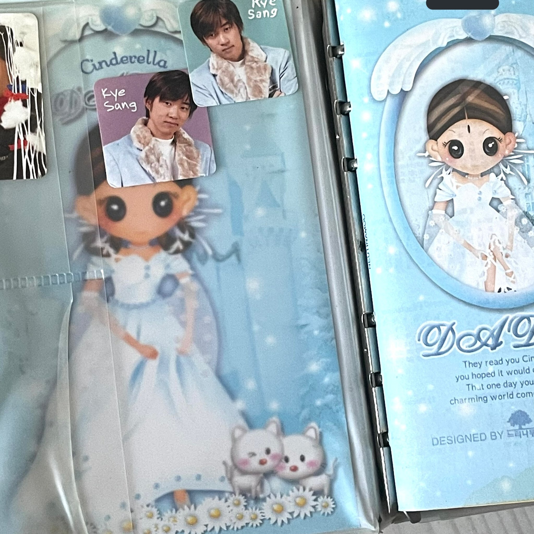 실트 올라온 할머니댁에서 발견한 이모 다이어리 (충격주의) | 인스티즈