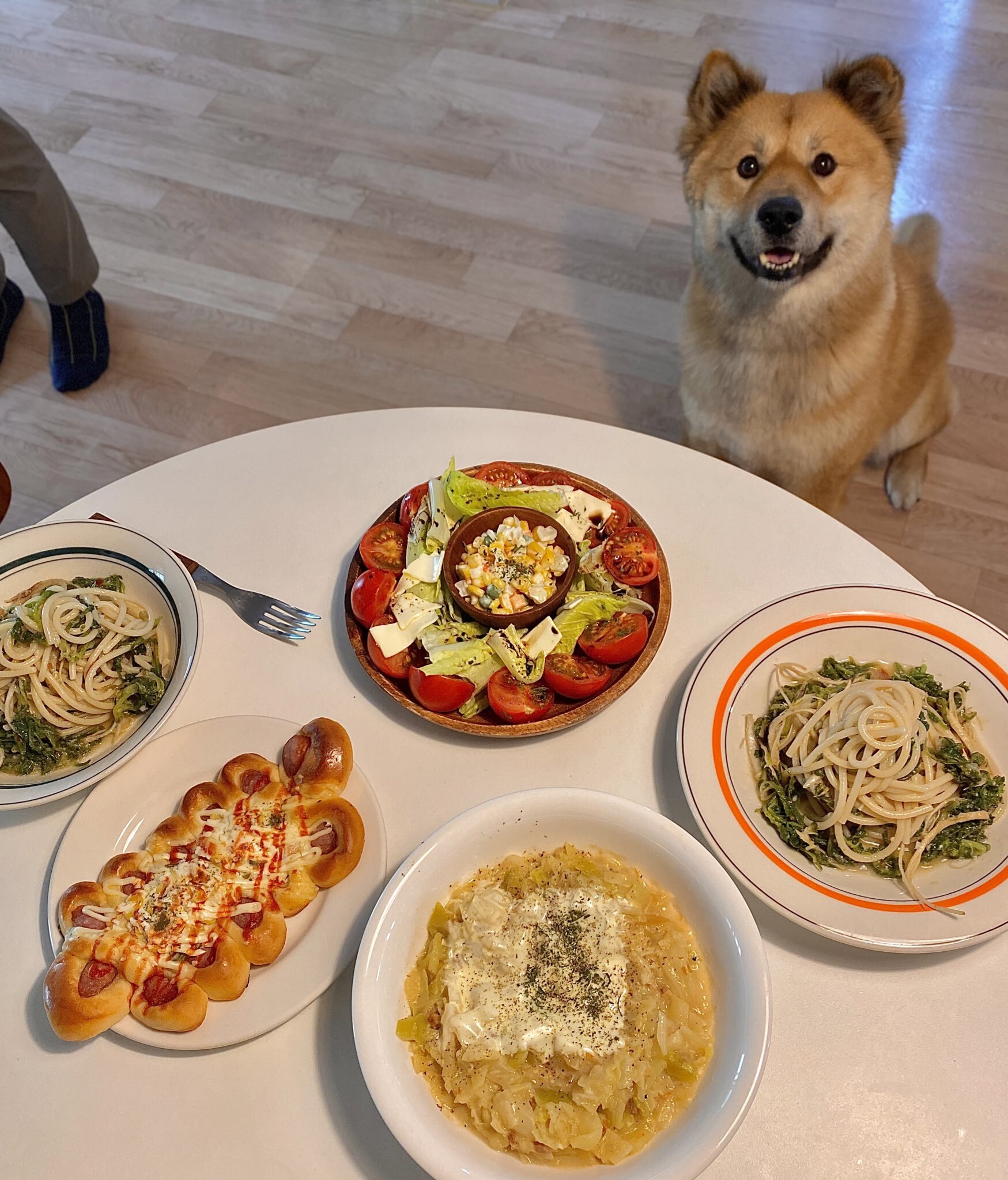 밥 먹을 때마다 기웃대는 왕강아지 | 인스티즈