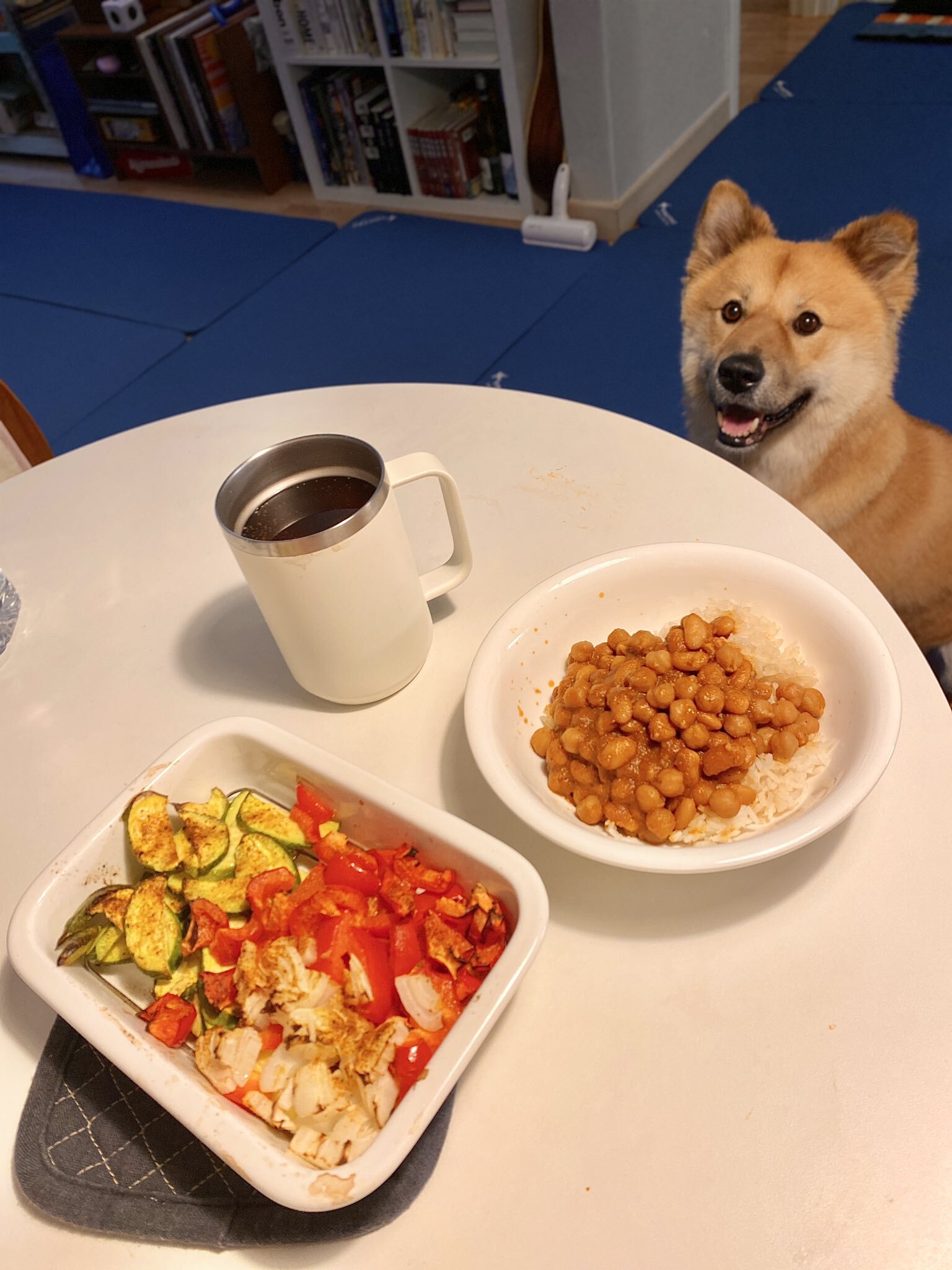 밥 먹을 때마다 기웃대는 왕강아지 | 인스티즈