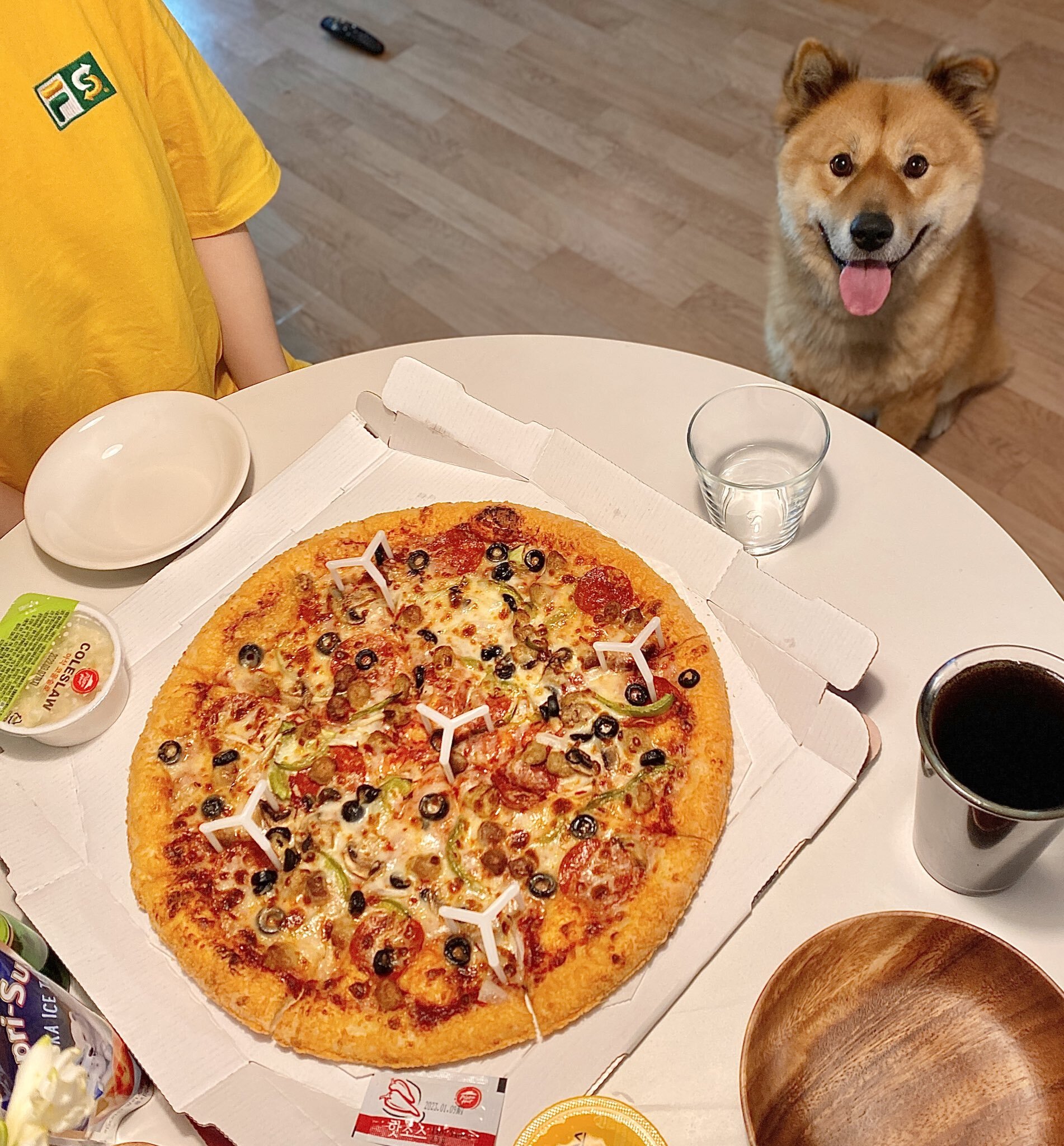 밥 먹을 때마다 기웃대는 왕강아지 | 인스티즈