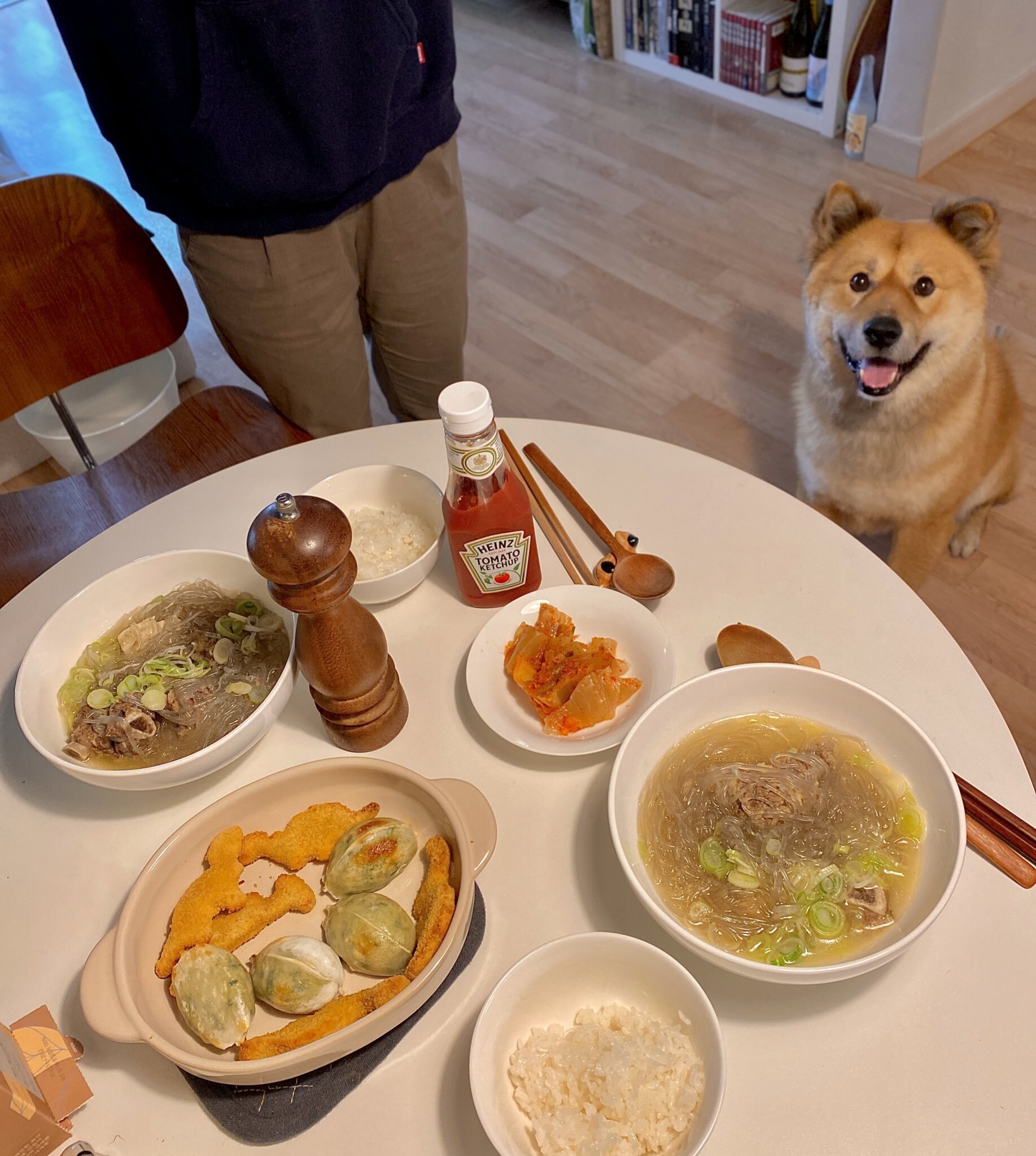 밥 먹을 때마다 기웃대는 왕강아지 | 인스티즈