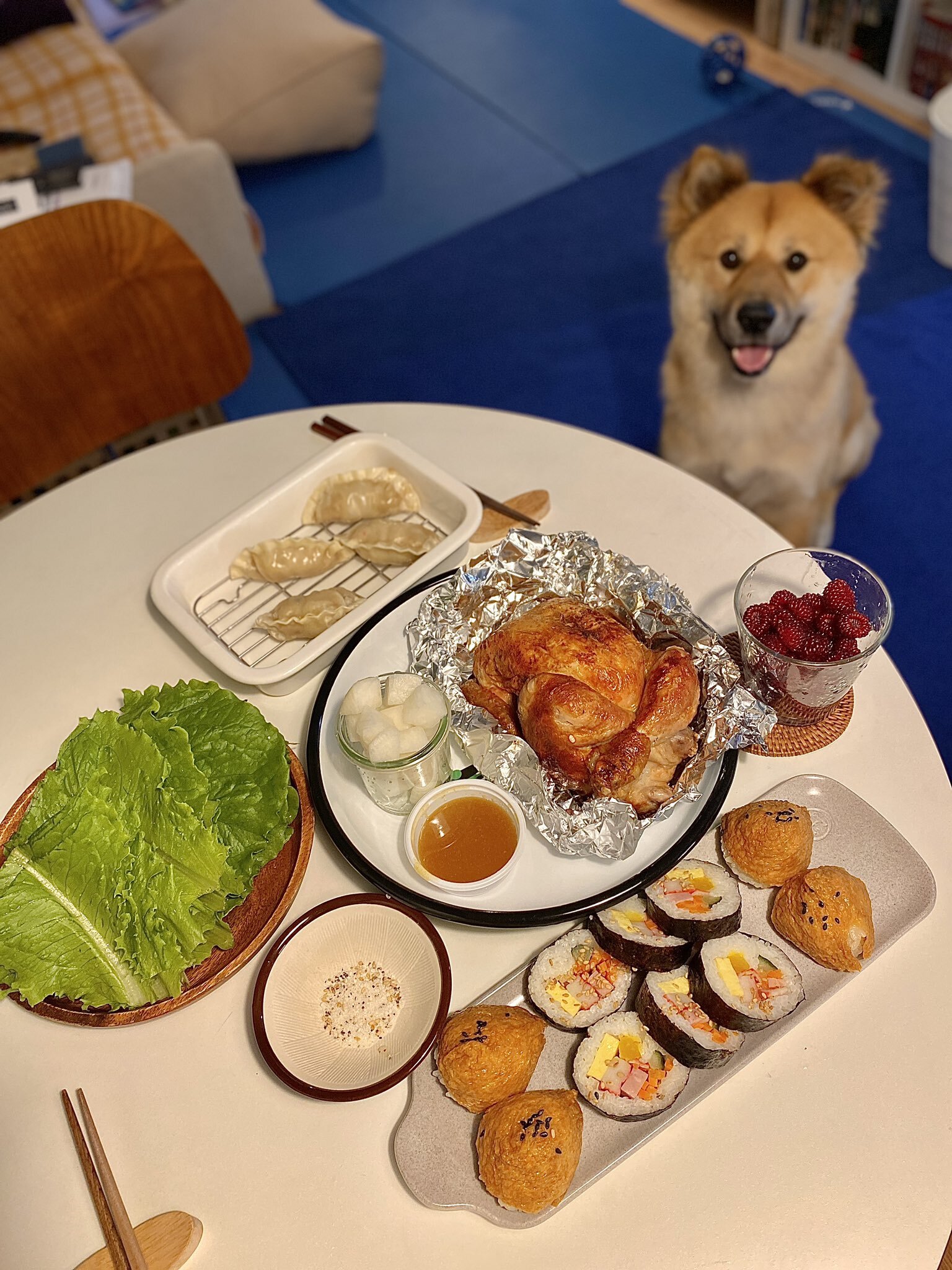 밥 먹을 때마다 기웃대는 왕강아지 | 인스티즈