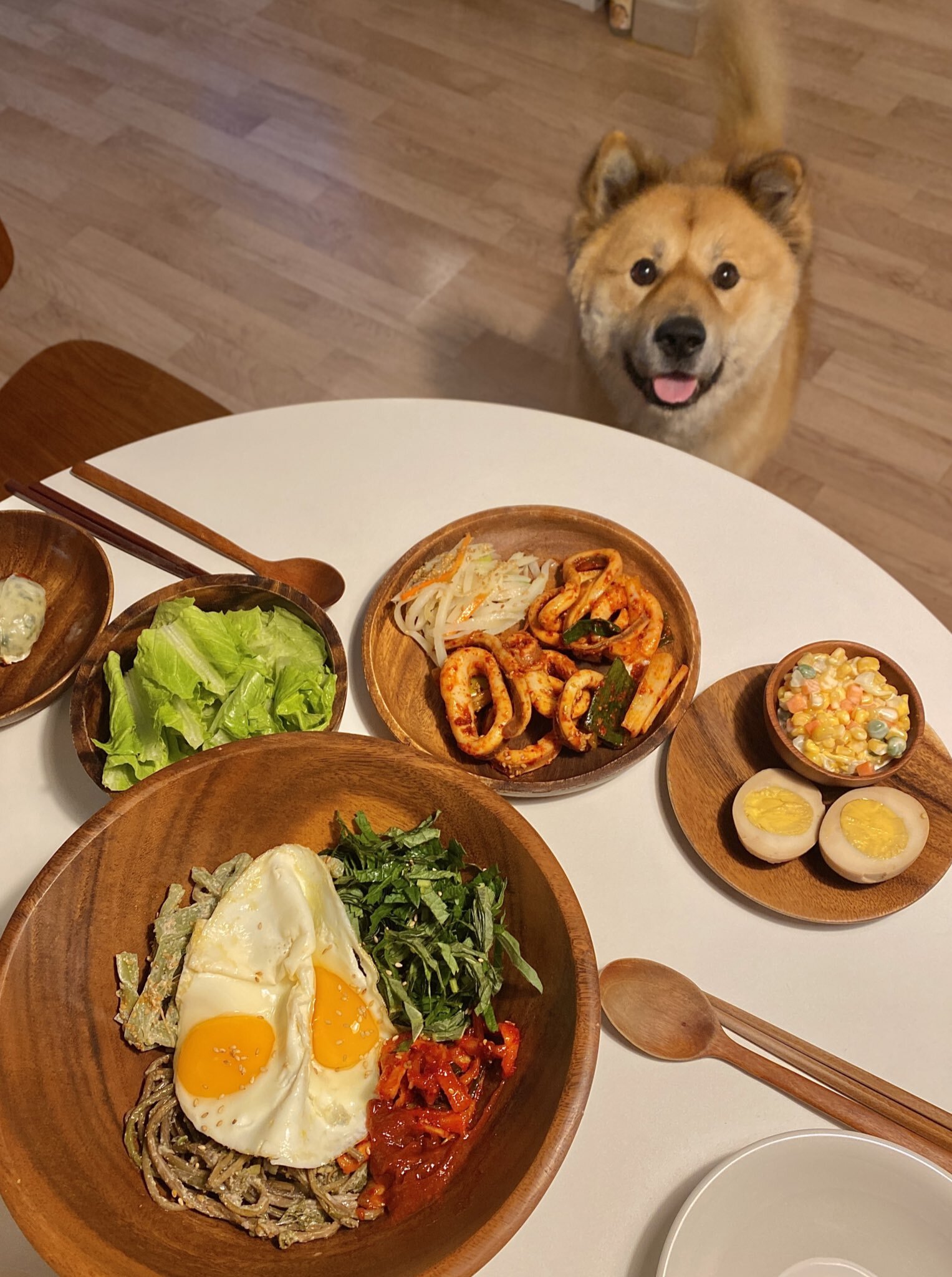 밥 먹을 때마다 기웃대는 왕강아지 | 인스티즈