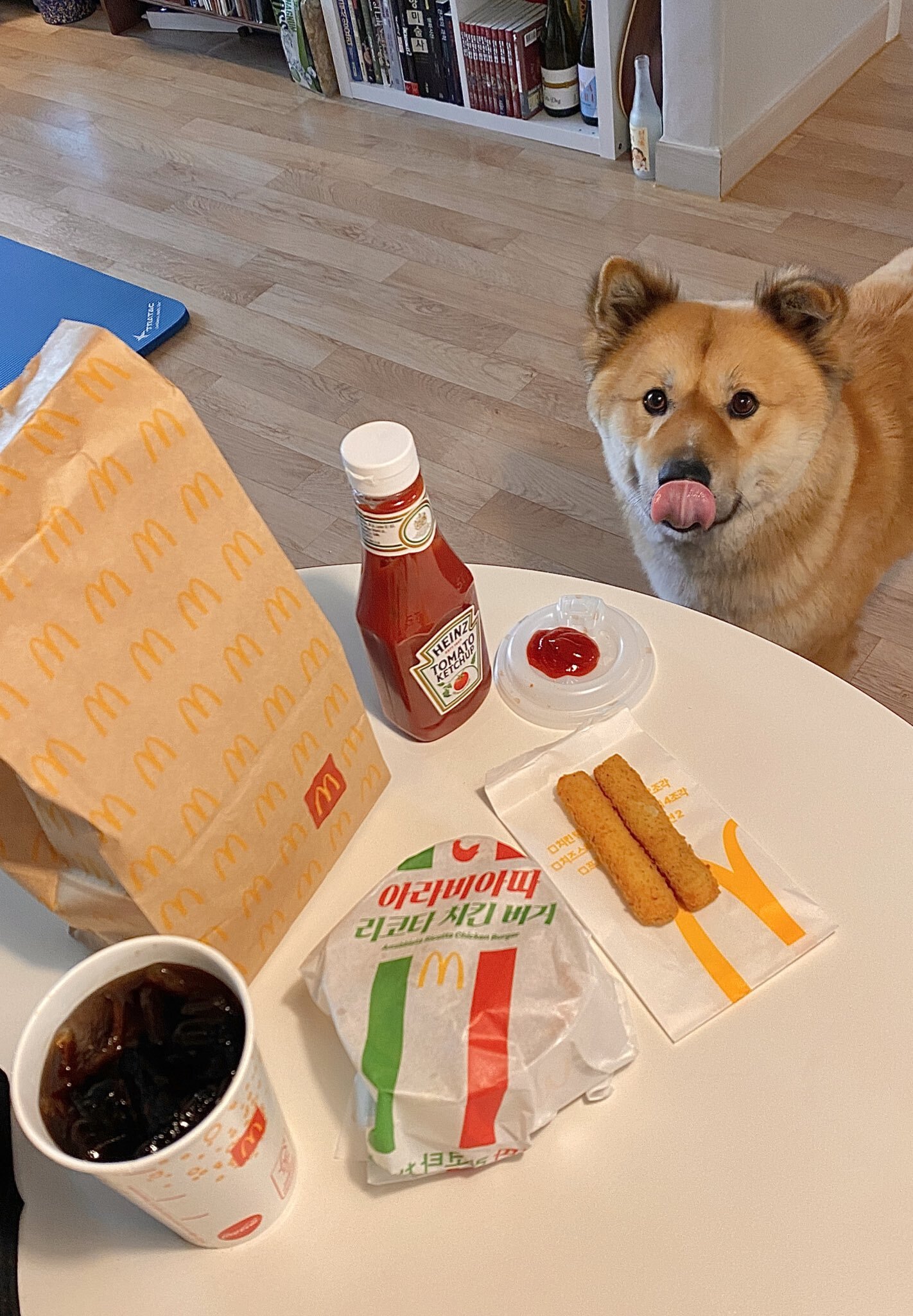 밥 먹을 때마다 기웃대는 왕강아지 | 인스티즈