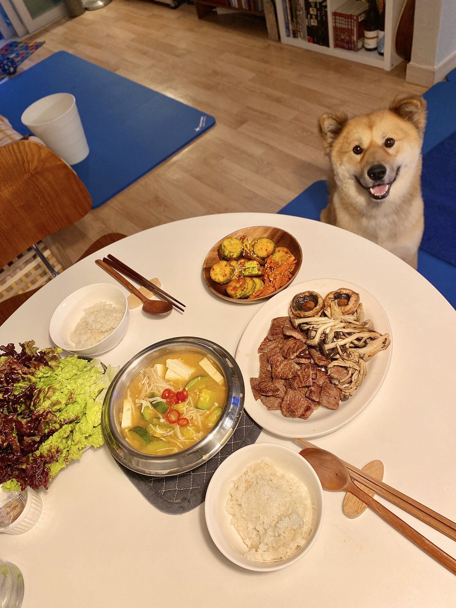 밥 먹을 때마다 기웃대는 왕강아지 | 인스티즈