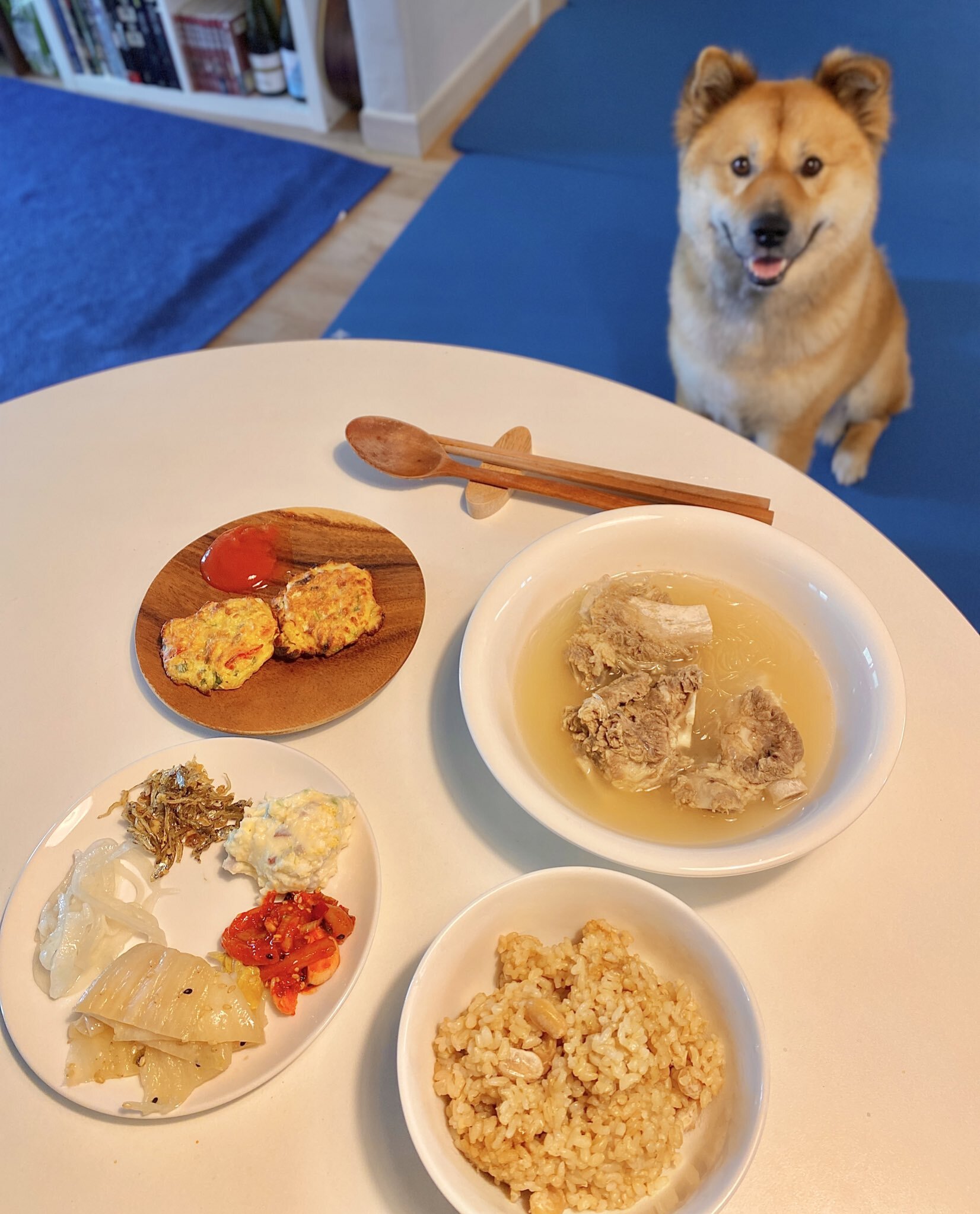 밥 먹을 때마다 기웃대는 왕강아지 | 인스티즈