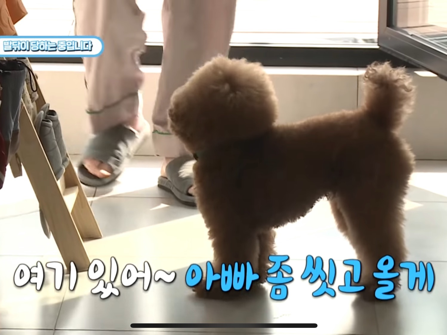5년뒤를 본다는 샤이니 키 스킨케어 루틴 | 인스티즈