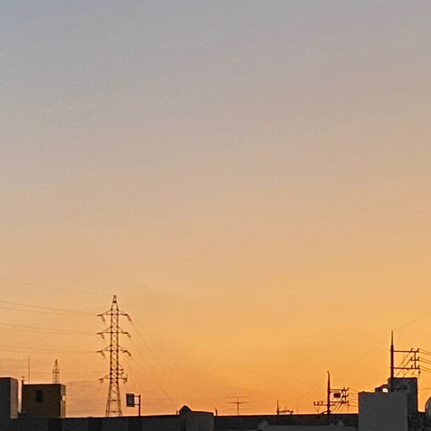 오늘도소담 이미지