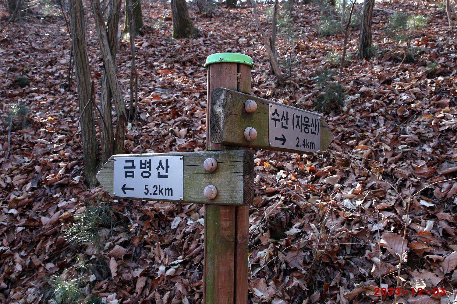 수산(자웅산) 이미지