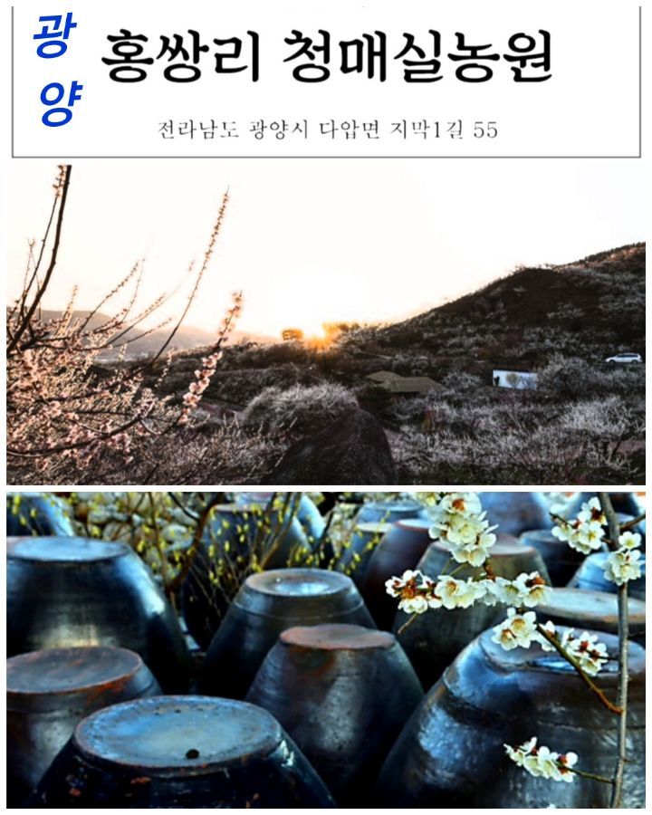 세영방역 이미지
