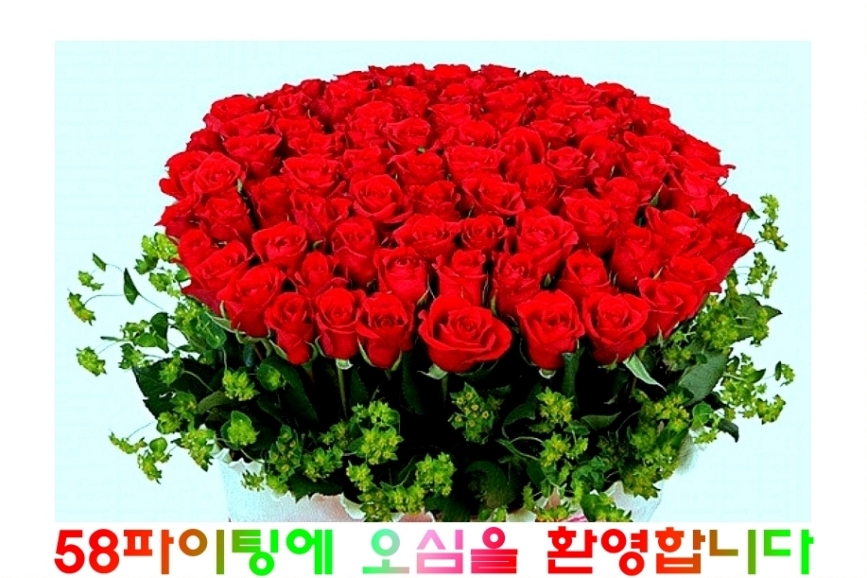 서경숙 이미지