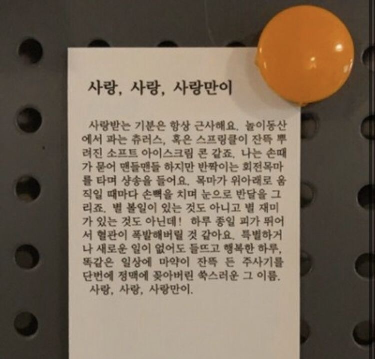 사랑, 사랑, 사랑만이 | 인스티즈