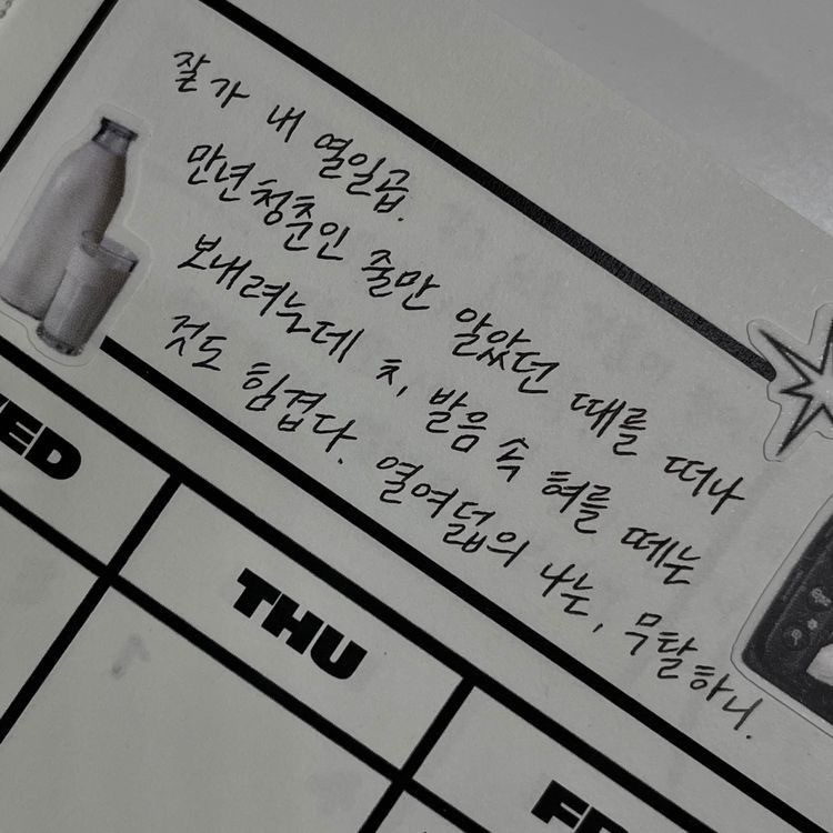 사랑, 사랑, 사랑만이 | 인스티즈